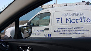 El morito servicios integrales