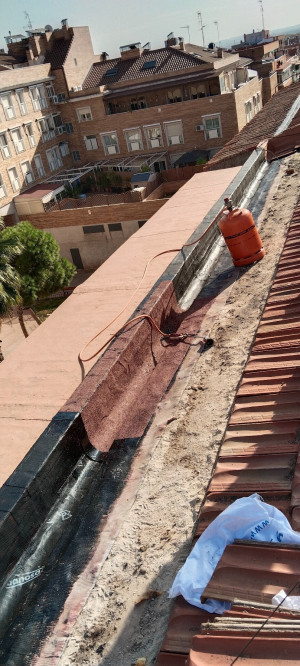 Vasile Stelian Bolboaca