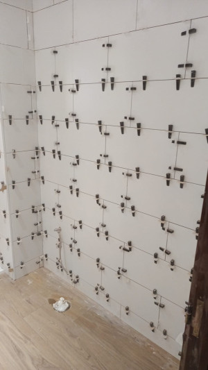 Wladimir Nieves ibarra