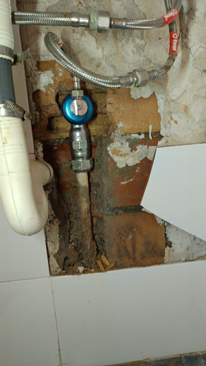 Wladimir Nieves ibarra